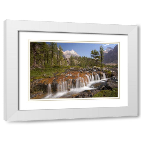Canada, BC, Yoho NP, Opabin Terrace Waterfall White Modern Wood Framed Art Print with Double Matting by Paulson, Don