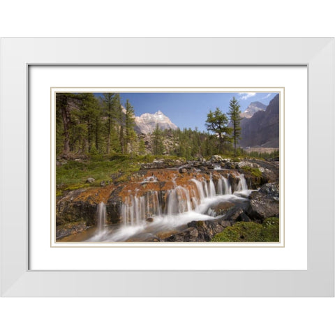Canada, BC, Yoho NP, Opabin Terrace Waterfall White Modern Wood Framed Art Print with Double Matting by Paulson, Don