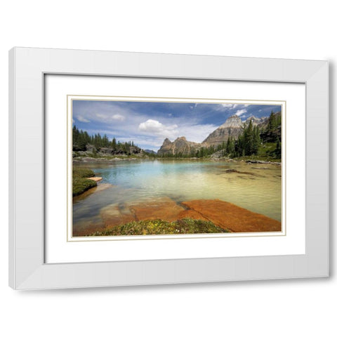 Canada, BC, Yoho NP Opabin Terrace Pools White Modern Wood Framed Art Print with Double Matting by Paulson, Don