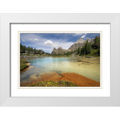 Canada, BC, Yoho NP Opabin Terrace Pools White Modern Wood Framed Art Print with Double Matting by Paulson, Don