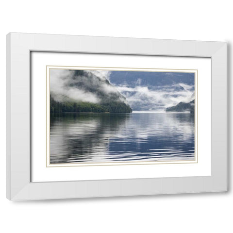 Canada, BC, Fog-shrouded forest by ocean inlet White Modern Wood Framed Art Print with Double Matting by Paulson, Don