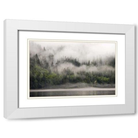 Canada, BC, Fog-shrouded forest by ocean inlet White Modern Wood Framed Art Print with Double Matting by Paulson, Don