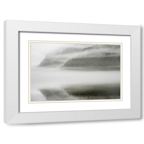Canada, BC, Calvert Island Fog shrouded forest White Modern Wood Framed Art Print with Double Matting by Paulson, Don