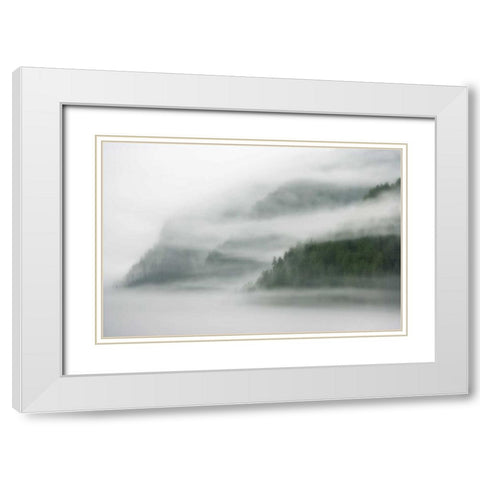 Canada, BC, Mist and fog shroud the island White Modern Wood Framed Art Print with Double Matting by Paulson, Don