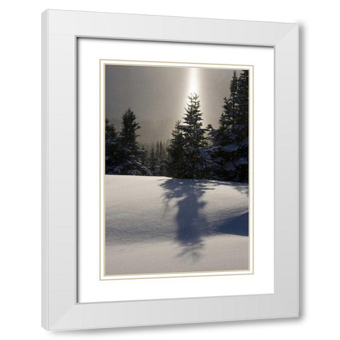 Canada, BC, Smithers Winter snow landscape White Modern Wood Framed Art Print with Double Matting by Young, Bill