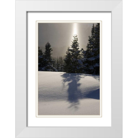 Canada, BC, Smithers Winter snow landscape White Modern Wood Framed Art Print with Double Matting by Young, Bill