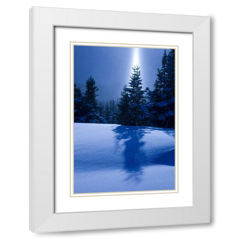 Canada, BC, Smithers Winter snow landscape White Modern Wood Framed Art Print with Double Matting by Young, Bill
