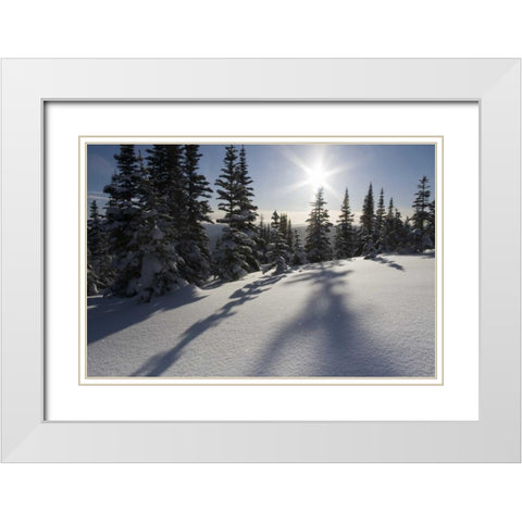Canada, BC, Smithers Snow-laden spruce trees White Modern Wood Framed Art Print with Double Matting by Young, Bill