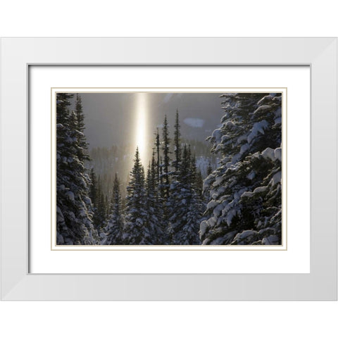 Canada, BC, Smithers Winter snow landscape White Modern Wood Framed Art Print with Double Matting by Young, Bill