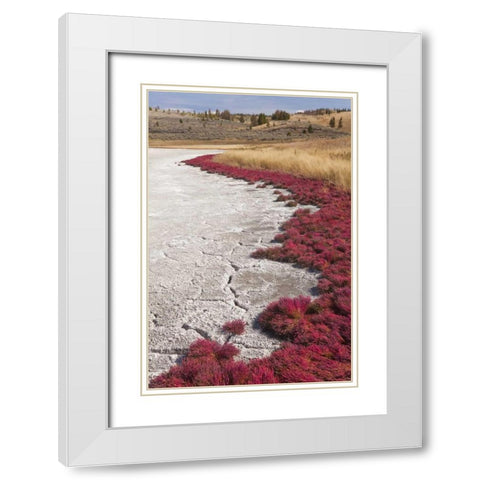 Canada, BC, Kamloops Grass and dried lake bed White Modern Wood Framed Art Print with Double Matting by Paulson, Don