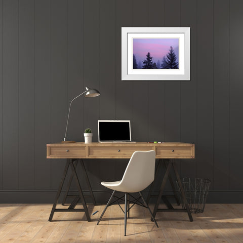 Canada, BC, Mt Robson PP Foggy sunrise scenic White Modern Wood Framed Art Print with Double Matting by Paulson, Don