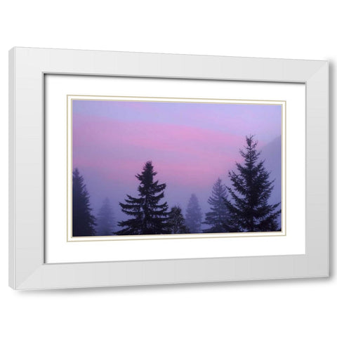 Canada, BC, Mt Robson PP Foggy sunrise scenic White Modern Wood Framed Art Print with Double Matting by Paulson, Don