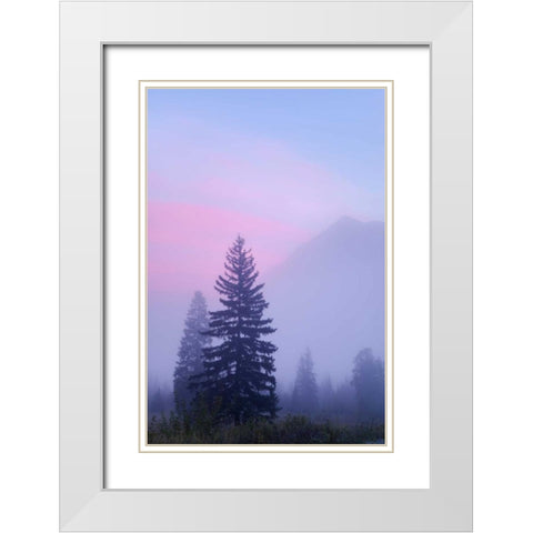 Canada, BC, Mt Robson PP Foggy sunrise scenic White Modern Wood Framed Art Print with Double Matting by Paulson, Don