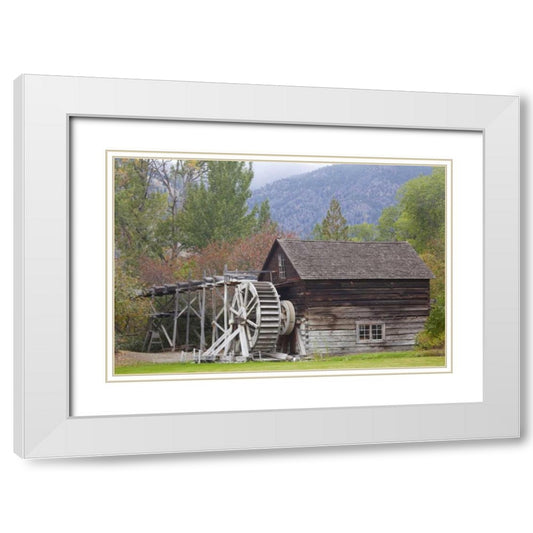 Perspective Image