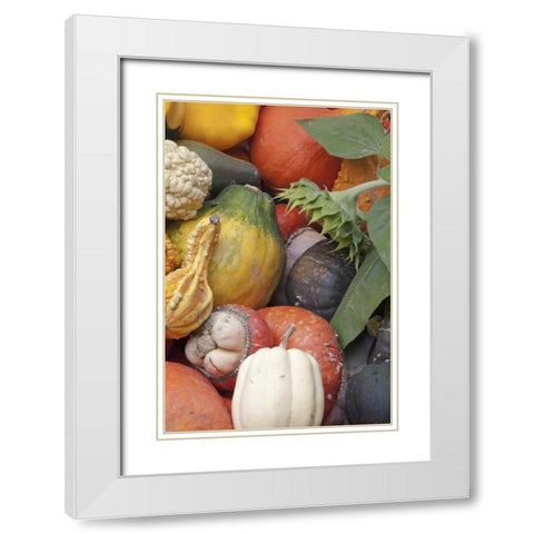 Canada, BC, Keremeos Winter squash White Modern Wood Framed Art Print with Double Matting by Paulson, Don