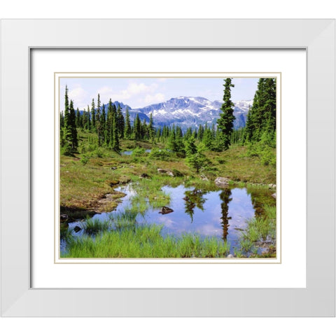 Canada, BC, Vancouver A tarn in the country White Modern Wood Framed Art Print with Double Matting by Talbot Frank, Christopher