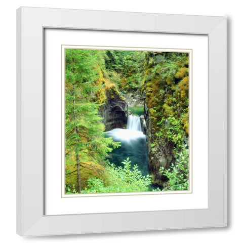 Canada, BC Waterfall on Little Qualicum River White Modern Wood Framed Art Print with Double Matting by Talbot Frank, Christopher