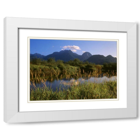Canada, Pitt Addington Wildlife Management Area White Modern Wood Framed Art Print with Double Matting by Grandmaison, Mike