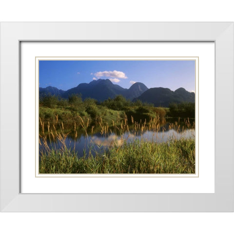 Canada, Pitt Addington Wildlife Management Area White Modern Wood Framed Art Print with Double Matting by Grandmaison, Mike