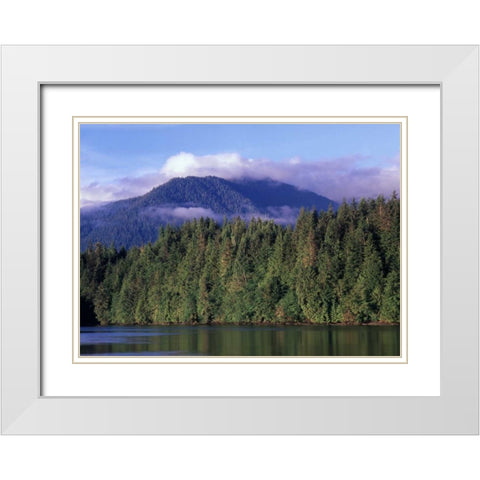 Canada, British Columbia, Coastal forest White Modern Wood Framed Art Print with Double Matting by Grandmaison, Mike