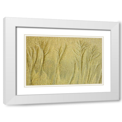 Canada, Pacific Rim NP Patterns on the beach White Modern Wood Framed Art Print with Double Matting by Grandmaison, Mike