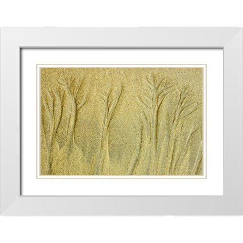 Canada, Pacific Rim NP Patterns on the beach White Modern Wood Framed Art Print with Double Matting by Grandmaison, Mike