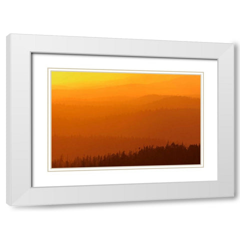 Canada, BC, Mountains of rain forest at sunset White Modern Wood Framed Art Print with Double Matting by Grandmaison, Mike