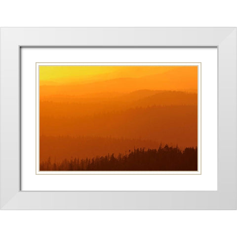 Canada, BC, Mountains of rain forest at sunset White Modern Wood Framed Art Print with Double Matting by Grandmaison, Mike
