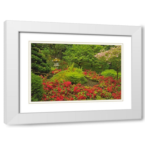 Canada, BC, Vancouver Lush Green Garden White Modern Wood Framed Art Print with Double Matting by Grandmaison, Mike