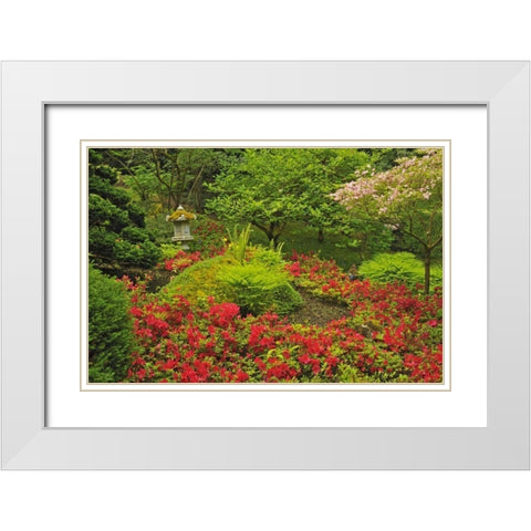 Canada, BC, Vancouver Lush Green Garden White Modern Wood Framed Art Print with Double Matting by Grandmaison, Mike