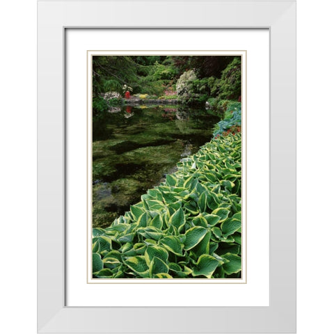 Canada, BC, Victoria Beautiful Garden Scenic White Modern Wood Framed Art Print with Double Matting by Bush, Marie