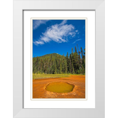 Canada-British Columbia-Kootenay National Park Iron-rich Paint Pots mineral springs stain ground White Modern Wood Framed Art Print with Double Matting by Jaynes Gallery