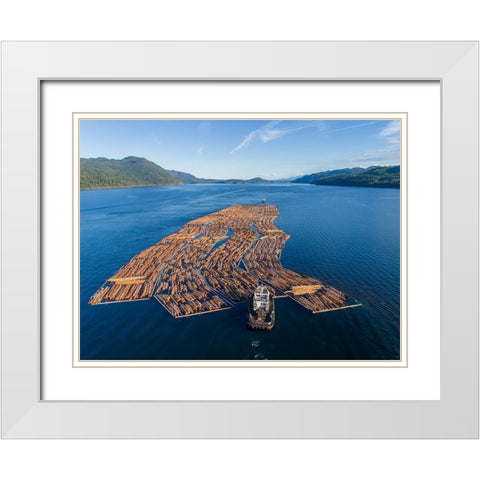 Canada-British Columbia-Campbell River-Aerial view of tugboat pushing boom of freshly cut logs White Modern Wood Framed Art Print with Double Matting by Souders, Paul