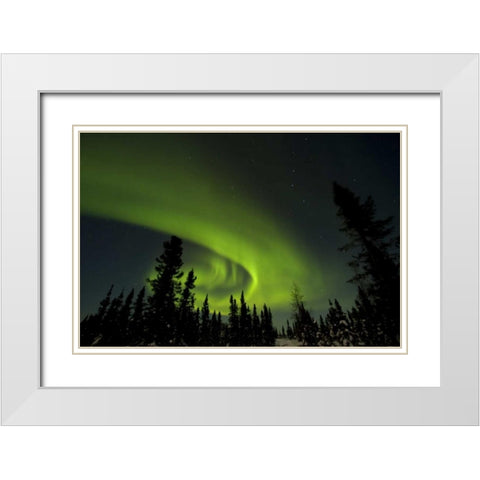 Canada, Manitoba Aurora borealis and trees White Modern Wood Framed Art Print with Double Matting by Illg, Cathy and Gordon