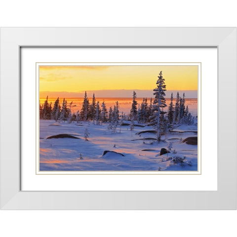 Canada, Churchill, Hudson Bay Sunrise on tundra White Modern Wood Framed Art Print with Double Matting by Grandmaison, Mike