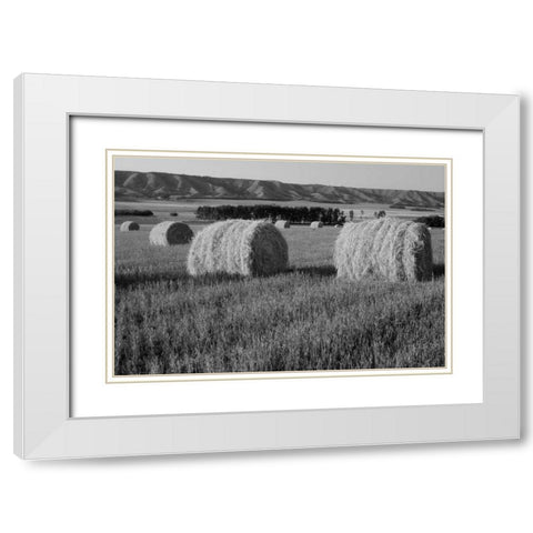 Canada, Manitoba, rolled hay bales in field White Modern Wood Framed Art Print with Double Matting by Grandmaison, Mike