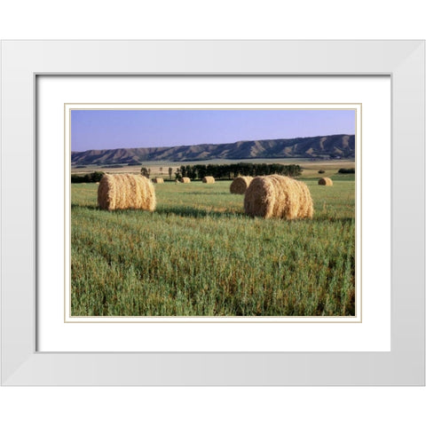Canada, Manitoba, rolled hay bales in field White Modern Wood Framed Art Print with Double Matting by Grandmaison, Mike