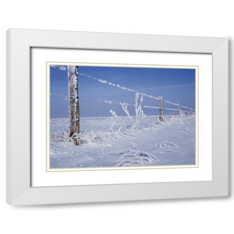 Canada, Manitoba, Dugald, hoarfrost and fence White Modern Wood Framed Art Print with Double Matting by Grandmaison, Mike