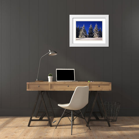 Canada, Manitoba, Riding Mountain NP White Modern Wood Framed Art Print with Double Matting by Grandmaison, Mike