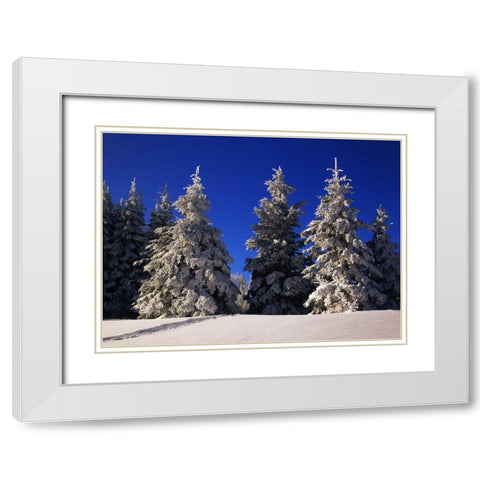 Canada, Manitoba, Riding Mountain NP White Modern Wood Framed Art Print with Double Matting by Grandmaison, Mike