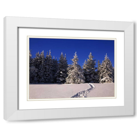 Canada, Manitoba, Riding Mountain NP White Modern Wood Framed Art Print with Double Matting by Grandmaison, Mike