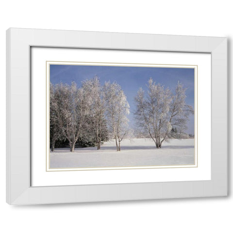 Canada, Manitoba, Birds Hill Provincial Park White Modern Wood Framed Art Print with Double Matting by Grandmaison, Mike