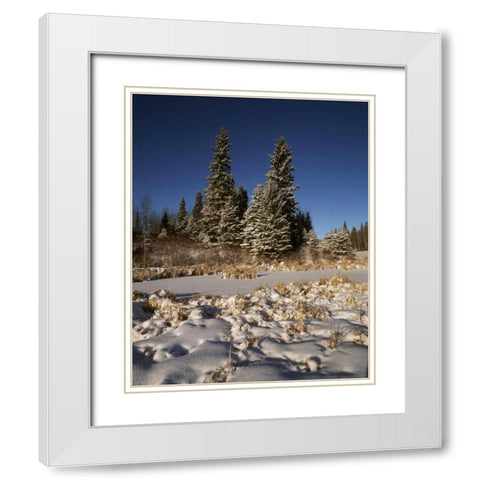 Canada, Manitoba, Riding Mountain NP White Modern Wood Framed Art Print with Double Matting by Grandmaison, Mike