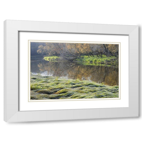 Canada Manitoba Fall on shore of LaSalle River White Modern Wood Framed Art Print with Double Matting by Grandmaison, Mike