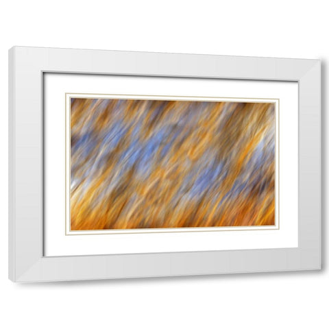 Canada, Manitoba Abstract of autumn leaves White Modern Wood Framed Art Print with Double Matting by Grandmaison, Mike