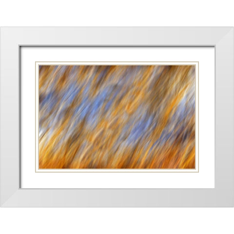 Canada, Manitoba Abstract of autumn leaves White Modern Wood Framed Art Print with Double Matting by Grandmaison, Mike