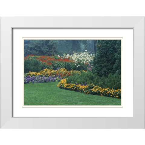 Canada, Manitoba, Winnipeg Garden in light fog White Modern Wood Framed Art Print with Double Matting by Grandmaison, Mike
