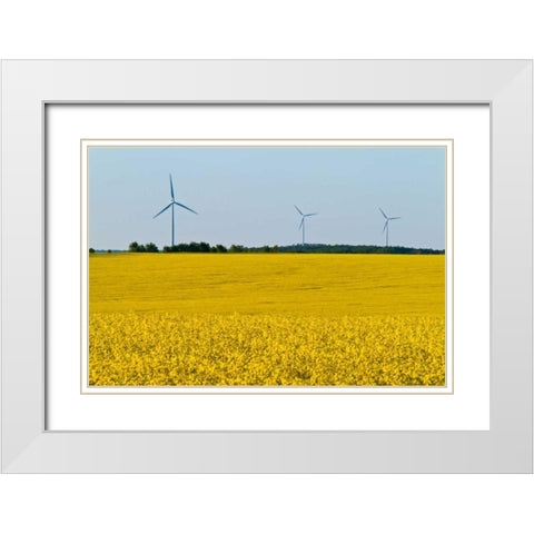 Canada, Somerset Wind turbines and canola White Modern Wood Framed Art Print with Double Matting by Grandmaison, Mike
