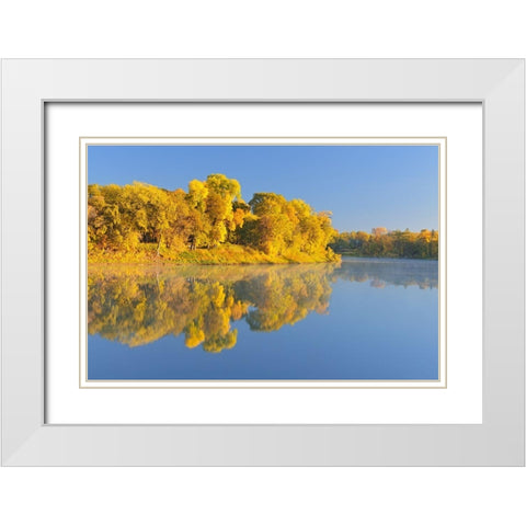 Canada-Manitoba-Winnipeg Forest reflected in Red River at sunrise White Modern Wood Framed Art Print with Double Matting by Jaynes Gallery