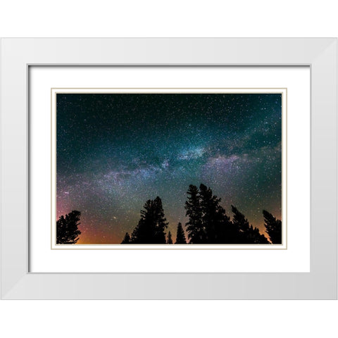 Canada-Manitoba-Milky Way Galaxy and starry night with white spruce in foreground White Modern Wood Framed Art Print with Double Matting by Jaynes Gallery